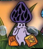 Your Pick: Friendly Fungi