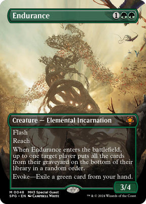 Endurance (Borderless)