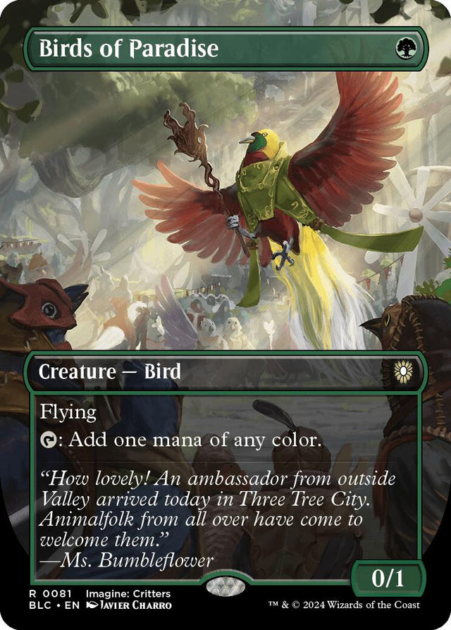 Birds of Paradise Borderless