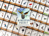 Wingspan Pocket