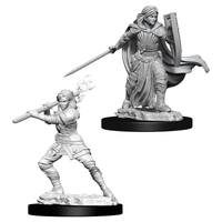D&D Minis: Wave 10- Female Human Paladin