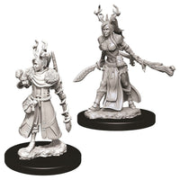 D&D Minis: Wave 9- Female Human Druid