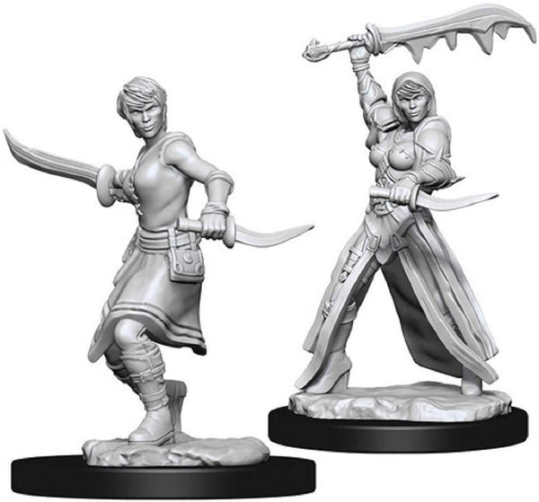 D&D Minis: Wave 10- Female Human Rogue