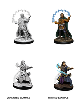 D&D Minis: Wave 11 - Male Human Wizard