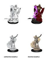 D&D Minis: Wave 11 - Lich & Mummy Lord