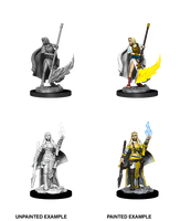 Pathfinder Minis: Wave 11- Female Human Oracle (Magic User)