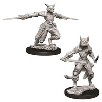 D&D Minis: Wave 9- Female Tabaxi Rogue