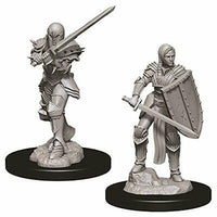 D&D Minis: Wave 9- Female Human Fighter
