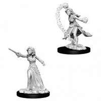 Pathfinder Minis: Wave 6- Female Human Wizard