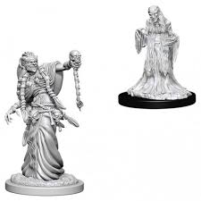 D&D Nolzur`s Unpainted Minis: Green Hag & Night Hag