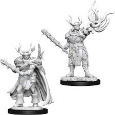 Pathfinder Minis: Wave 10- Male Half-Orc Druid