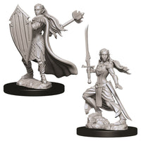 D&D Minis: Wave 9- Female Elf Paladin