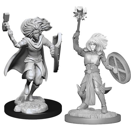D&D Minis: Wave 14 - Changeling Cleric Male