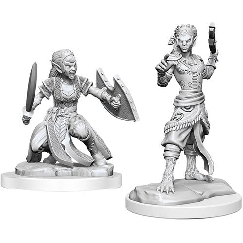 Dungeons & Dragons Nolzur`s Marvelous Unpainted Miniatures: W20 Shifter Fighter